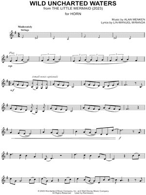 Wild Uncharted Waters