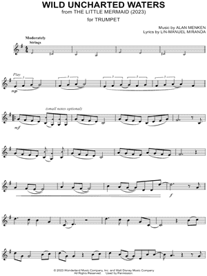 Wild Uncharted Waters