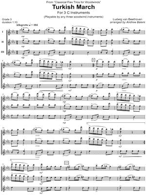 Turkish March - C Flex Trio