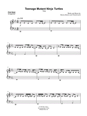 Teenage Mutant Ninja Turtles [easy]