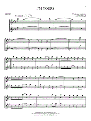 I'm Yours - Flute Duet