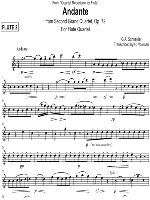 Andante from Second Grand Quartet, Opus 72 - Flute 2
