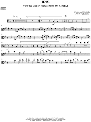 Iris - Viola