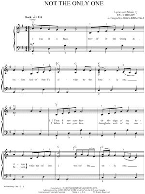 Not the Only One by Bonnie Raitt - Sheet Music