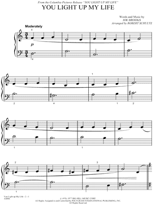 You Light Up My Life