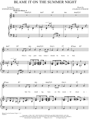 Blame It on the Summer Night