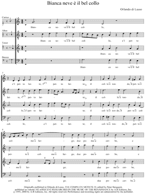 Bianca neve è il bel collo