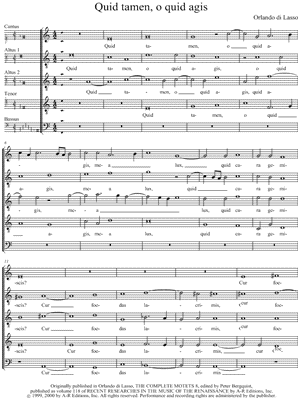 Quid tamen, o quid agis