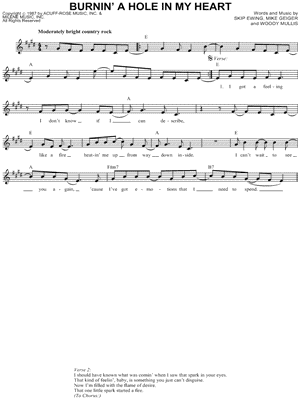 Burnin' a Hole In My Heart