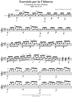 Esercizio Per La Chitarra No. 24