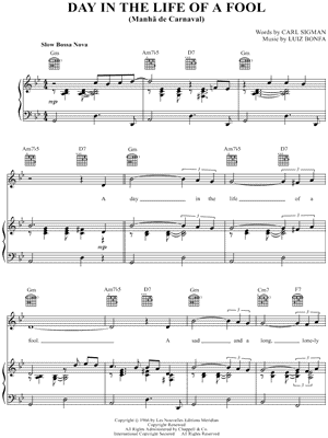 A Day in the Life of a Fool