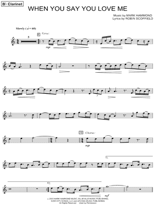 When You Say You Love Me