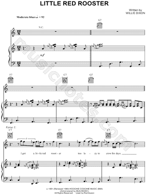 Little Red Rooster
