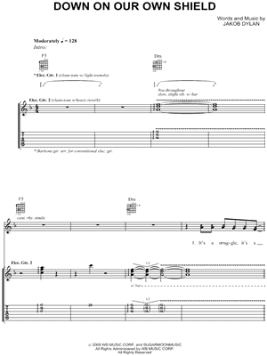 Down on Our Own Shield