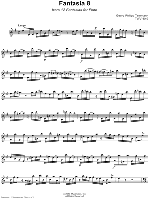 12 Fantasias for Flute: 8. Fantasia in E Minor