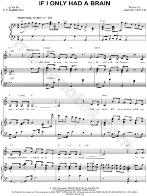 If I Only Had a Brain