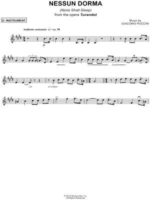 Nessun dorma