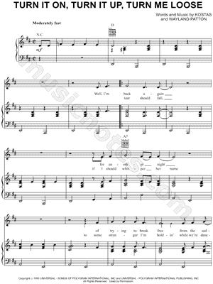 Turn It on, Turn It Up, Turn Me Loose