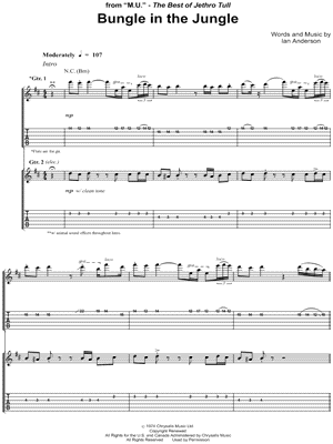 Bungle In the Jungle