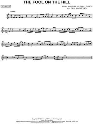 The Fool on the Hill