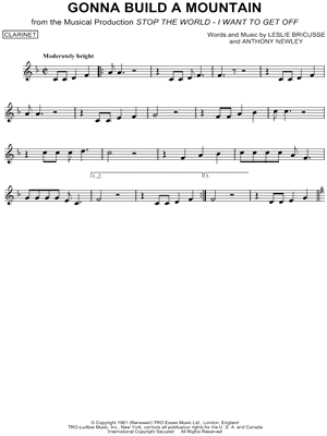 Gonna Build a Mountain