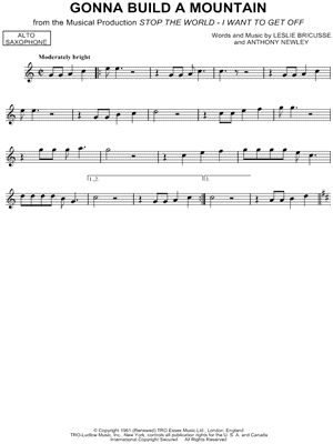 Gonna Build a Mountain