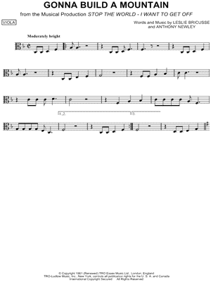 Gonna Build a Mountain