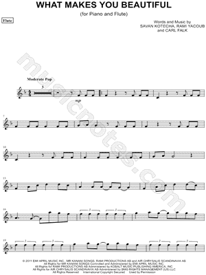 What Makes You Beautiful - Flute