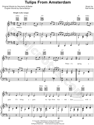 Tulips From Amsterdam