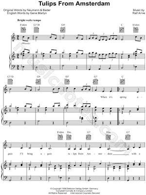 Tulips From Amsterdam