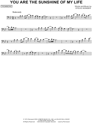 You Are the Sunshine of My Life