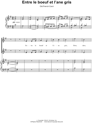 Entre le boeuf et l'âne gris