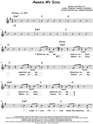 Awake My Soul