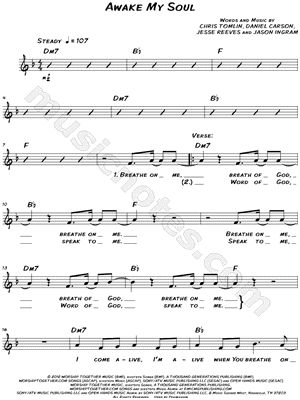 Awake My Soul