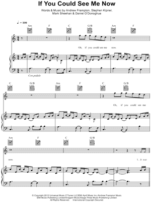 If You Could See Me Now