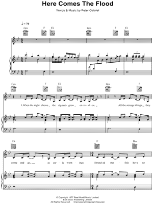 Here Comes the Flood