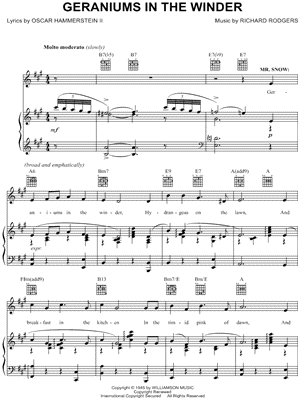 Geraniums In the Winder