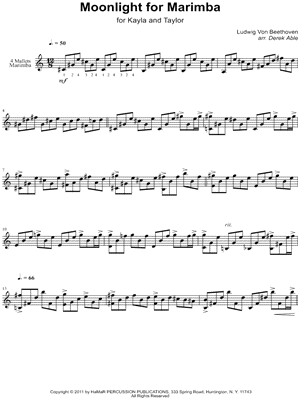 Moonlight for Marimba (Moonlight Sonata, First Movement)