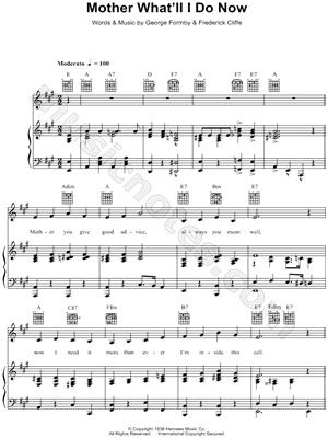 Mother What'll I Do Now