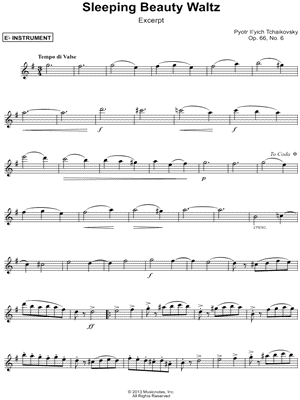 The Sleeping Beauty Waltz (Excerpt)