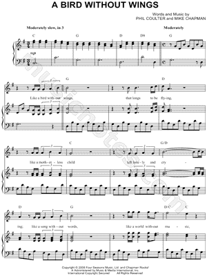 A Bird Without Wings