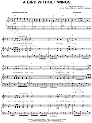 A Bird Without Wings