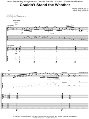 Couldn't Stand the Weather