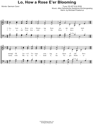 Lo! How a Rose E'er Blooming