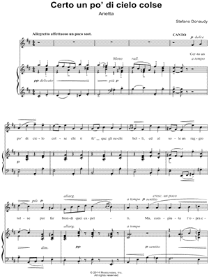 Certo un po' di cielo colse