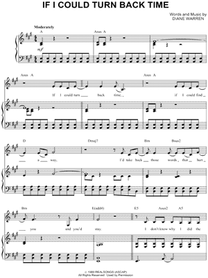 If I Could Turn Back Time