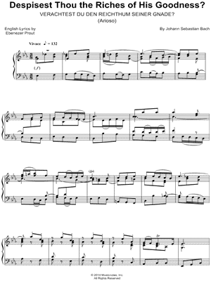 Despisest Thou the Riches of His Goodness?