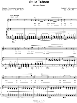 12 Gedichte, Op. 35: X. Stille Tränen