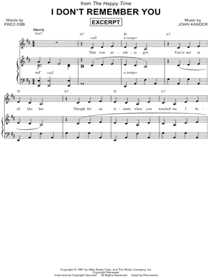 I Don't Remember You