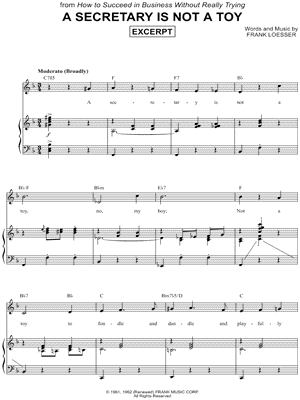 A SECRETARY IS NOT A TOY